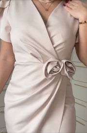 Double Rosette Dress