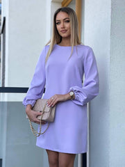 Long Sleeve Back Buttons Mini Dress