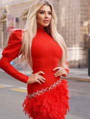 Long Sleeve Mini Feather Dress