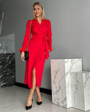 Long Sleeve Ostrich Detail Midi Dress